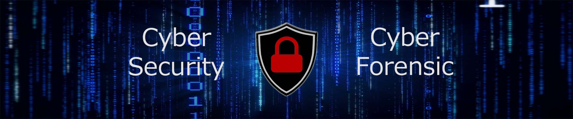 cyber-security